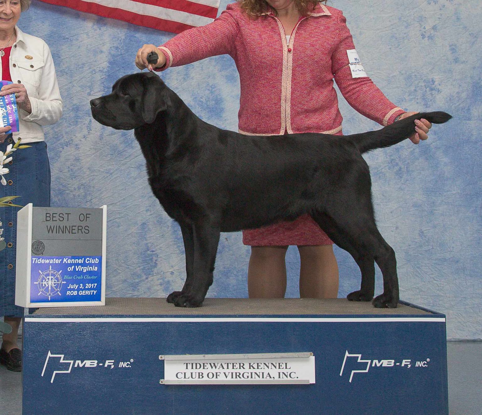 Cletus Maryland MD Labrador Retriever Breeders, Steele's Labradors